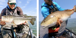 Les 8 seuls leurres dont vous avez besoin pour attraper du poisson, n'importe où