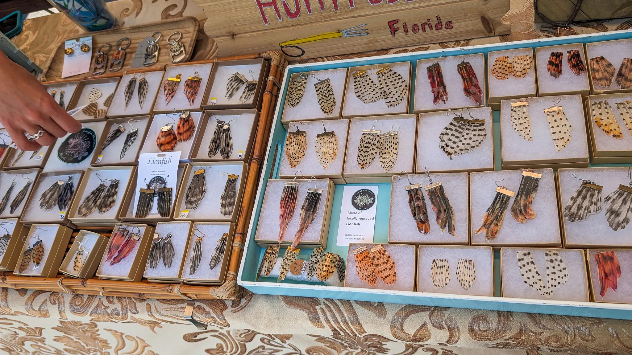Boucles d'oreilles poisson-lion en vitrine