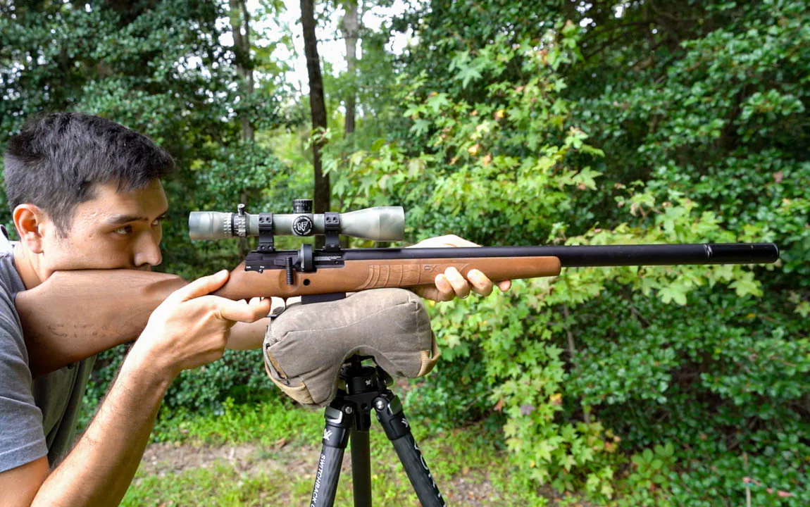 L'une des meilleures carabines à air comprimé pour la chasse à l'écureuil