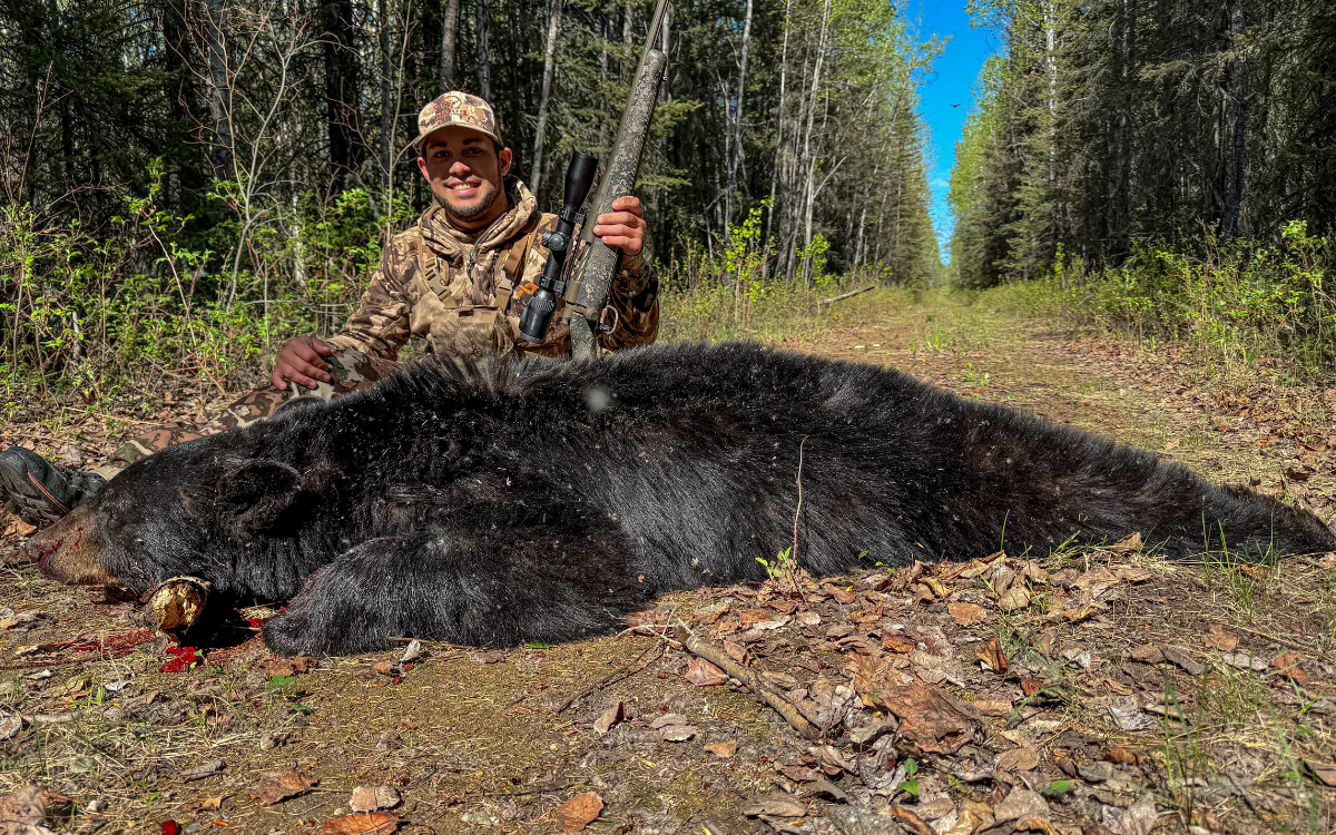 Mon premier ours noir avec le 6.5 Creedmoor