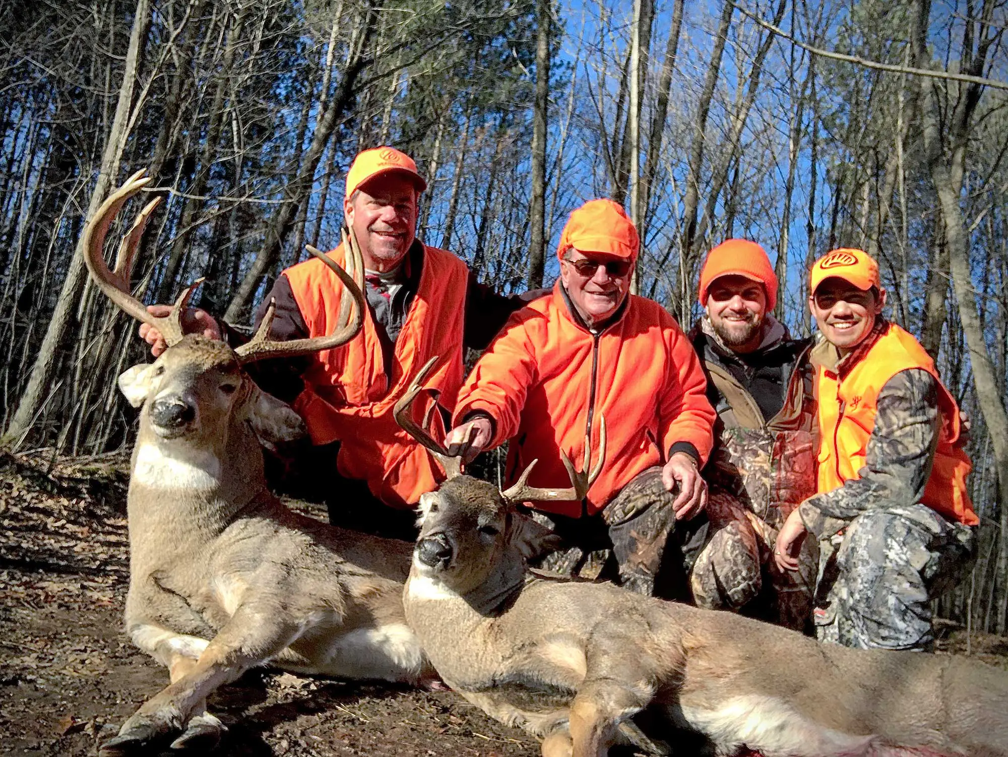 Conseils pour la chasse au cerf