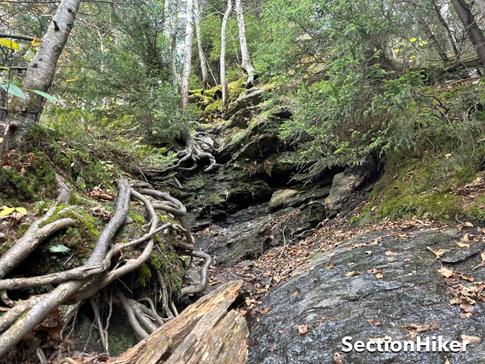 L'une des nombreuses courses sur le sentier Hell Brook