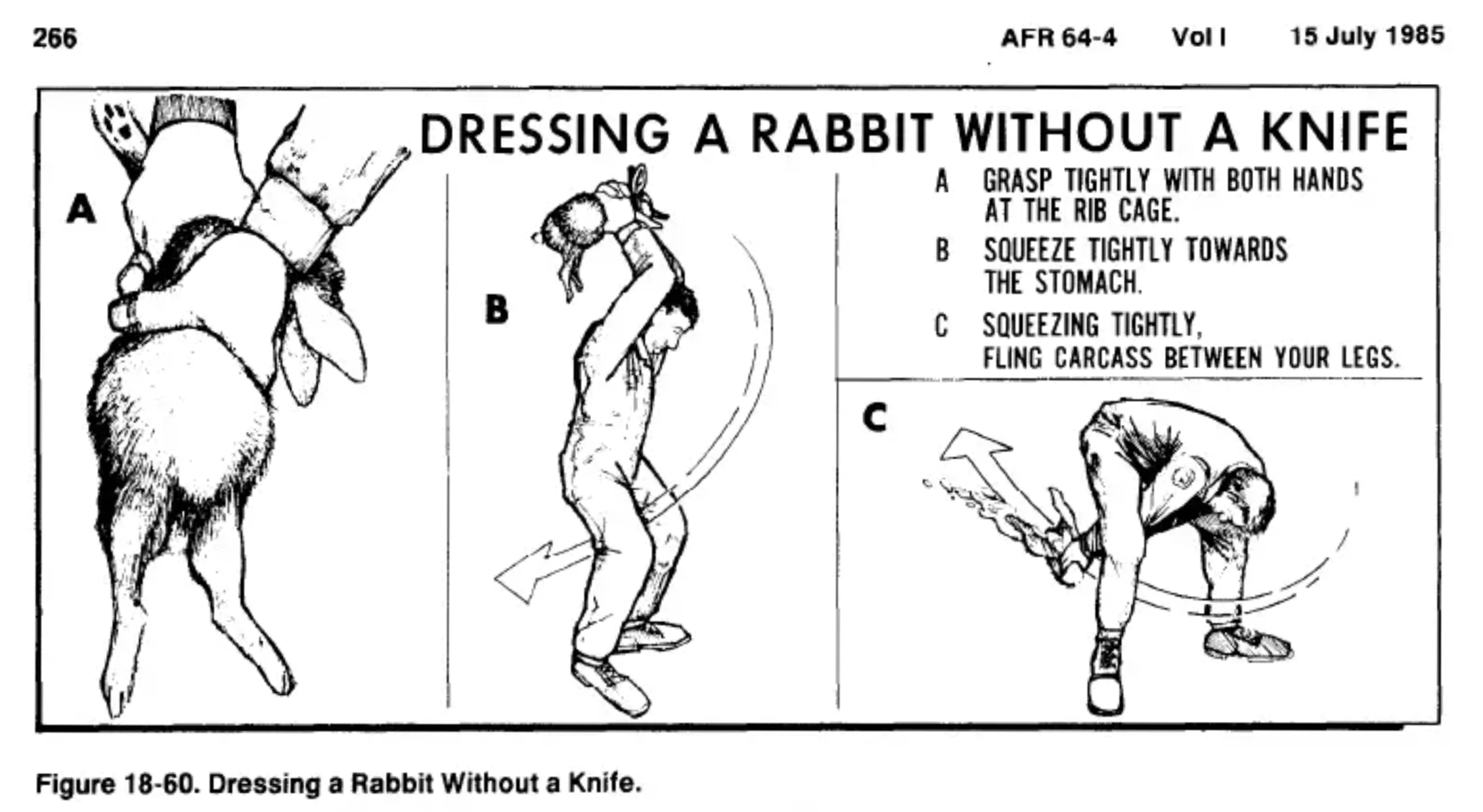 Une page de manuel avec des illustrations d'un pilote de l'Air Force écorchant un lapin sans couteau.