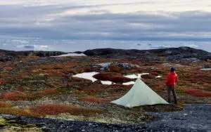 Dîner gastronomique au nord du cercle polaire arctique