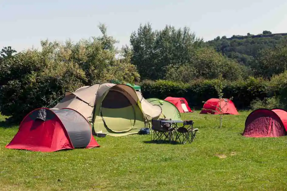 Une variété de tentes installées sur un terrain de camping herbeux, illustrant différents types de tentes pour le camping et les aventures en plein air.