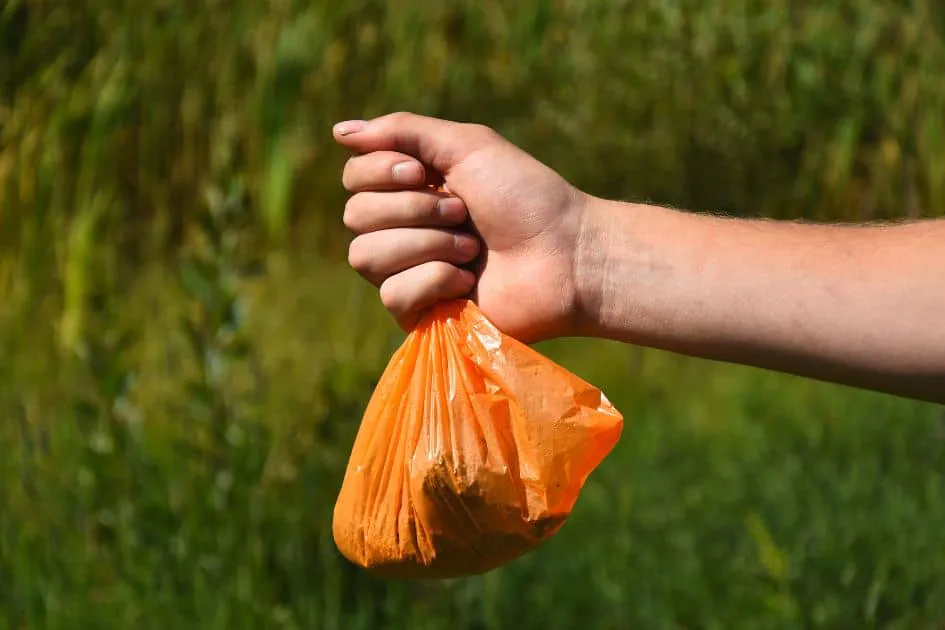 Sac de kit de merde de randonnée