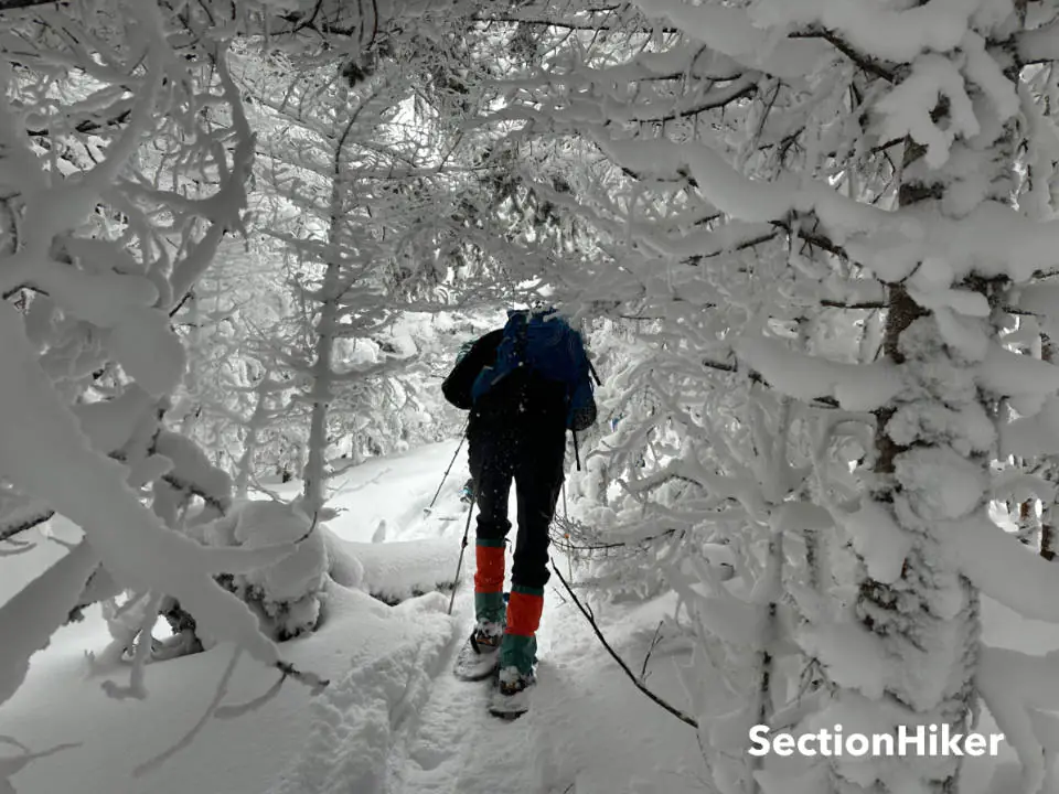 Il faut beaucoup d'essais et d'erreurs pour trouver un itinéraire dans la neige sur un sommet boisé.