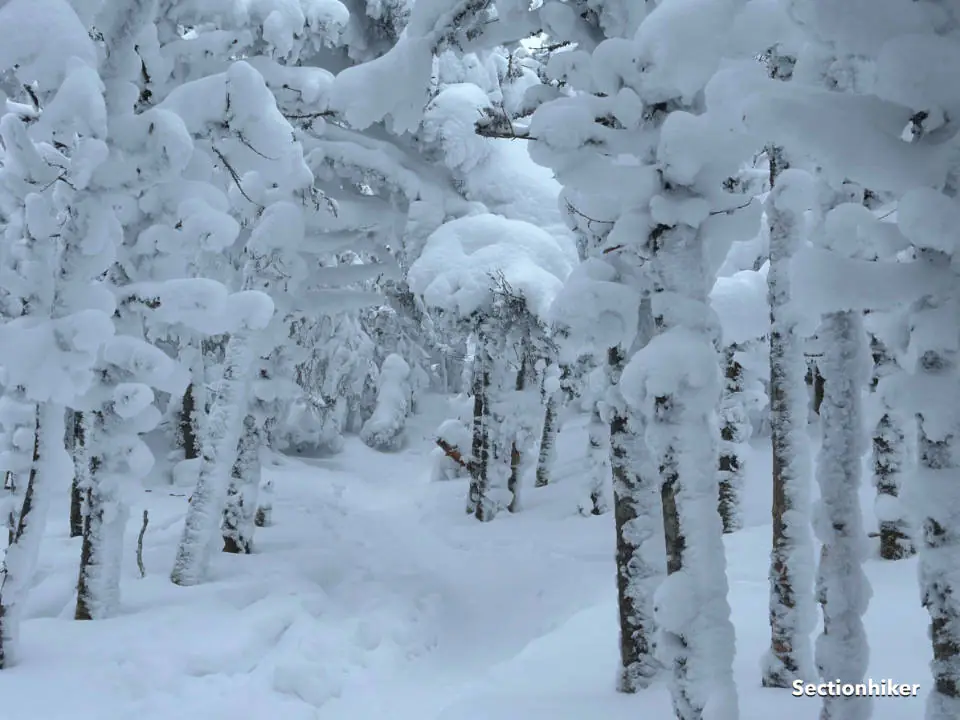 La neige est devenue beaucoup plus profonde à mesure que je gagnais en élévation.