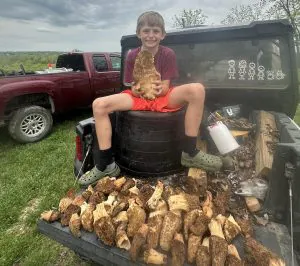 Morel Mushroom aussi grand que la tête d'un garçon trouvé dans le Missouri