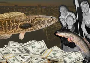 Ce chasseur de primes gagne des milliers de pêche aux têtes de serpent