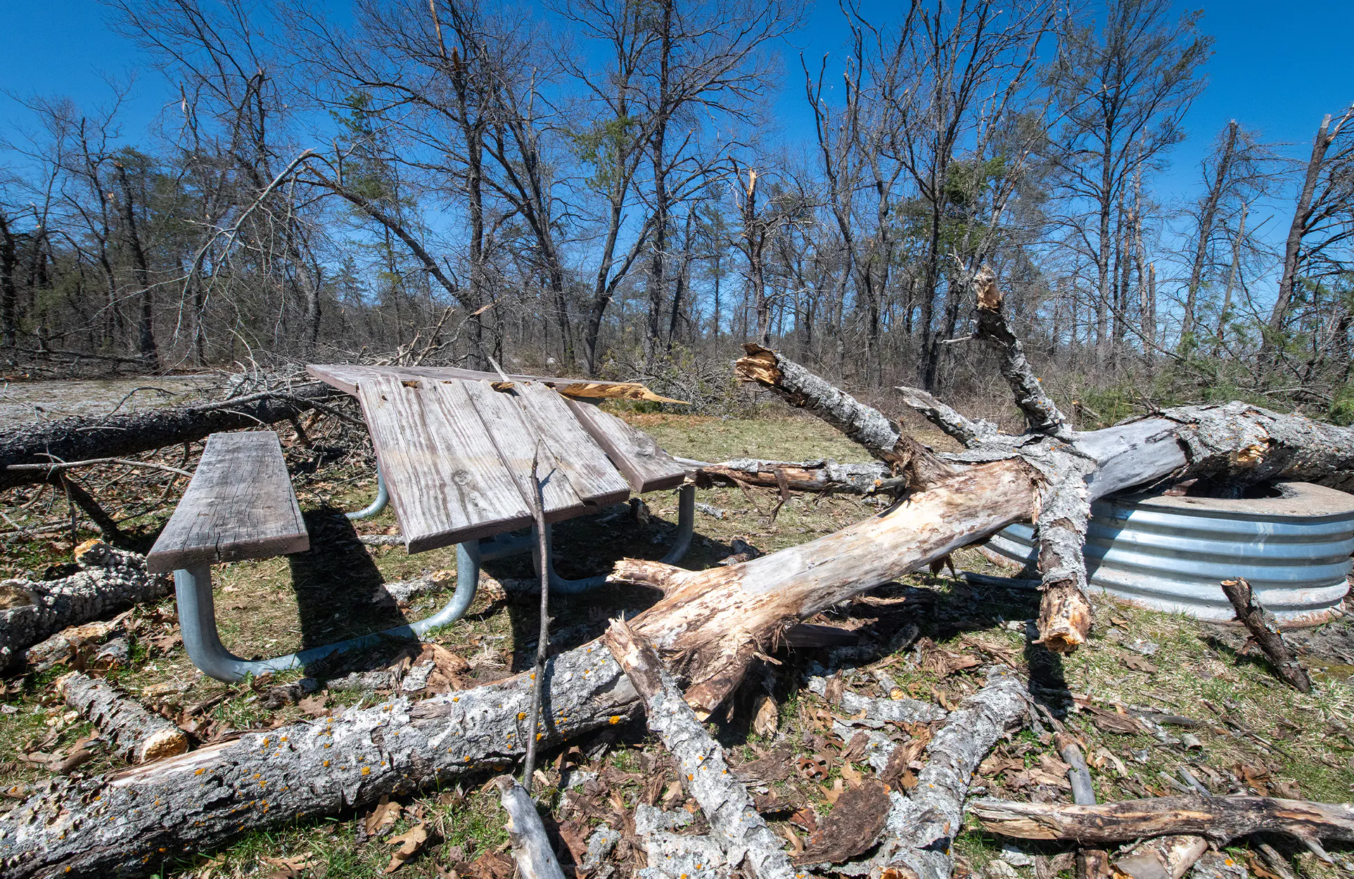 Un arbre tombé dans une aire de pique-nique dans un camping public.