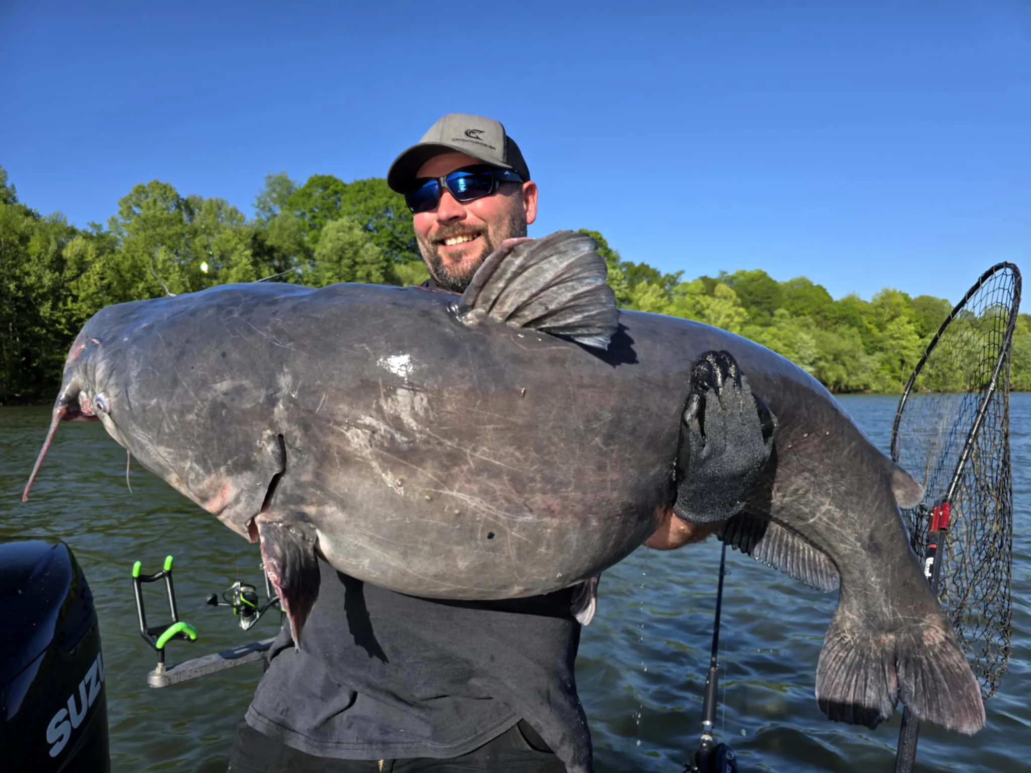 Un gros poisson-chat bleu pris en Virginie-Occidentale
