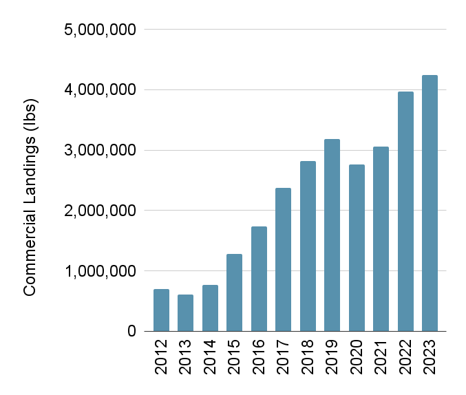 Un graphique montrant la récolte commerciale de poisson-chat bleu au fil du temps.