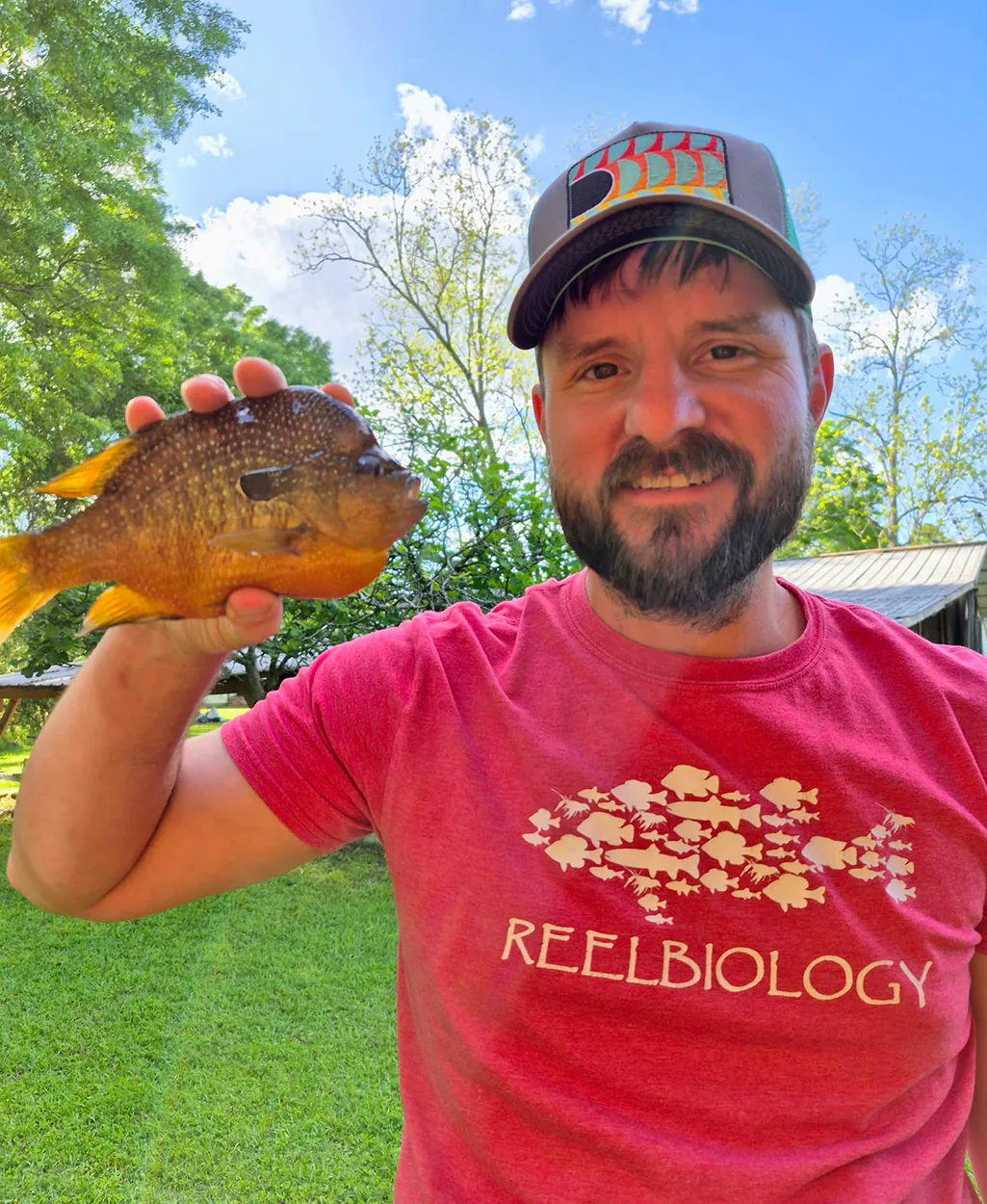 Un pêcheur du Mississippi accueille un poisson-soleil massif.