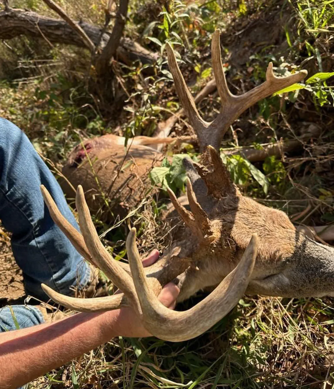 Un gros plan des mains d'un chasseur sur un ensemble de bois de chariot blanche.