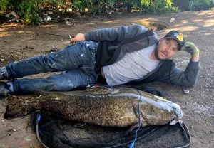 Philly Fisherman attrape un énorme poisson-chat à tête plate
