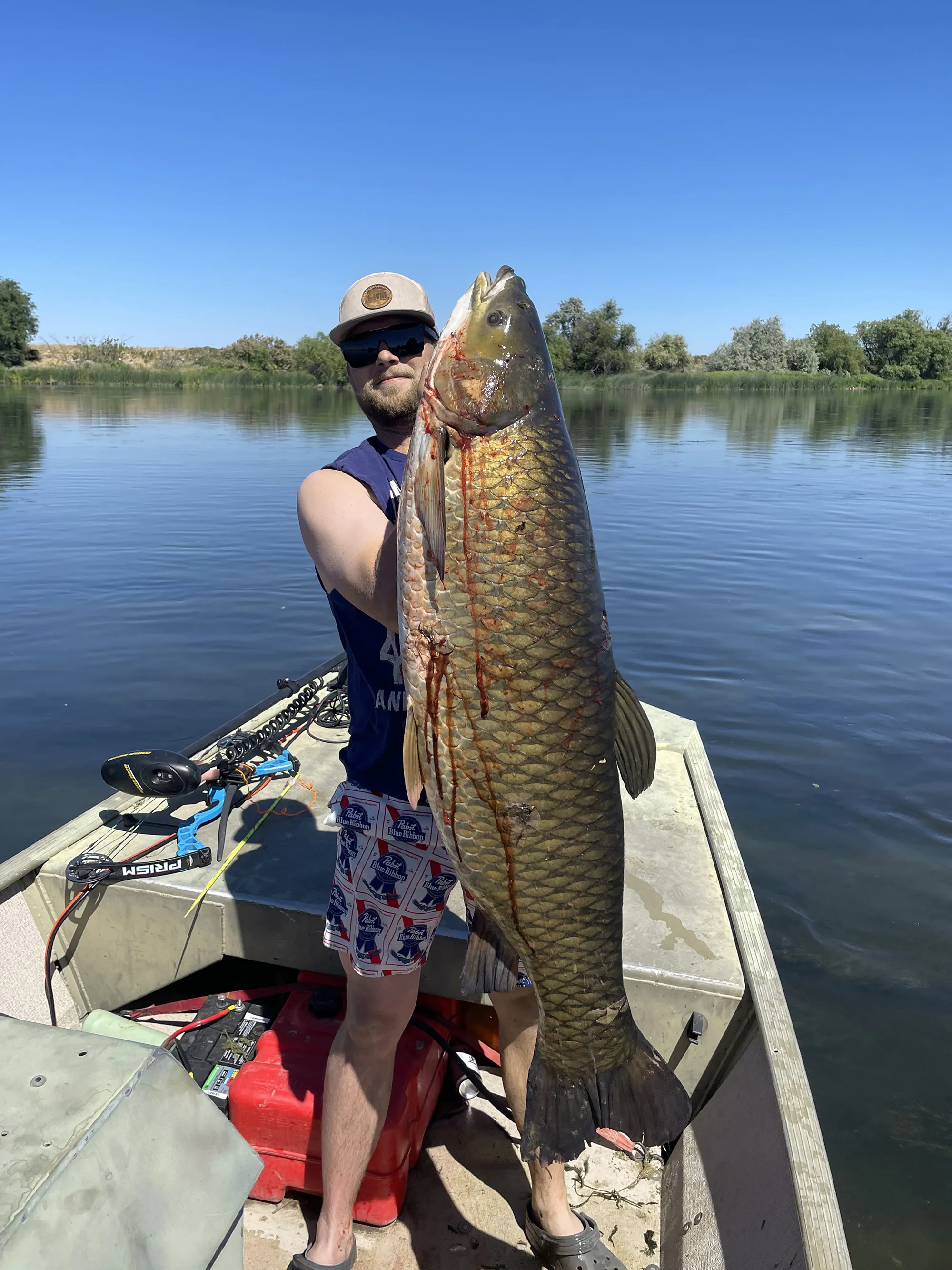 Un pêcheur de pêche assume une grande carpe d'herbe en Idaho.