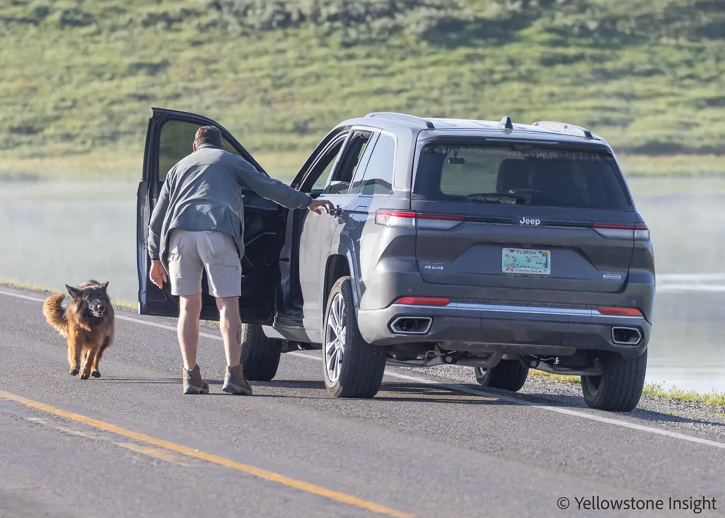 Un propriétaire de chien charge son berger allemand dans le parc national de Yellowstone.