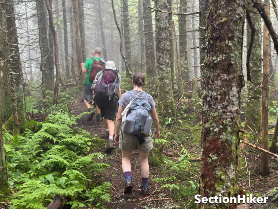 Un épais brouillard pendait sur le sentier ce matin-là.