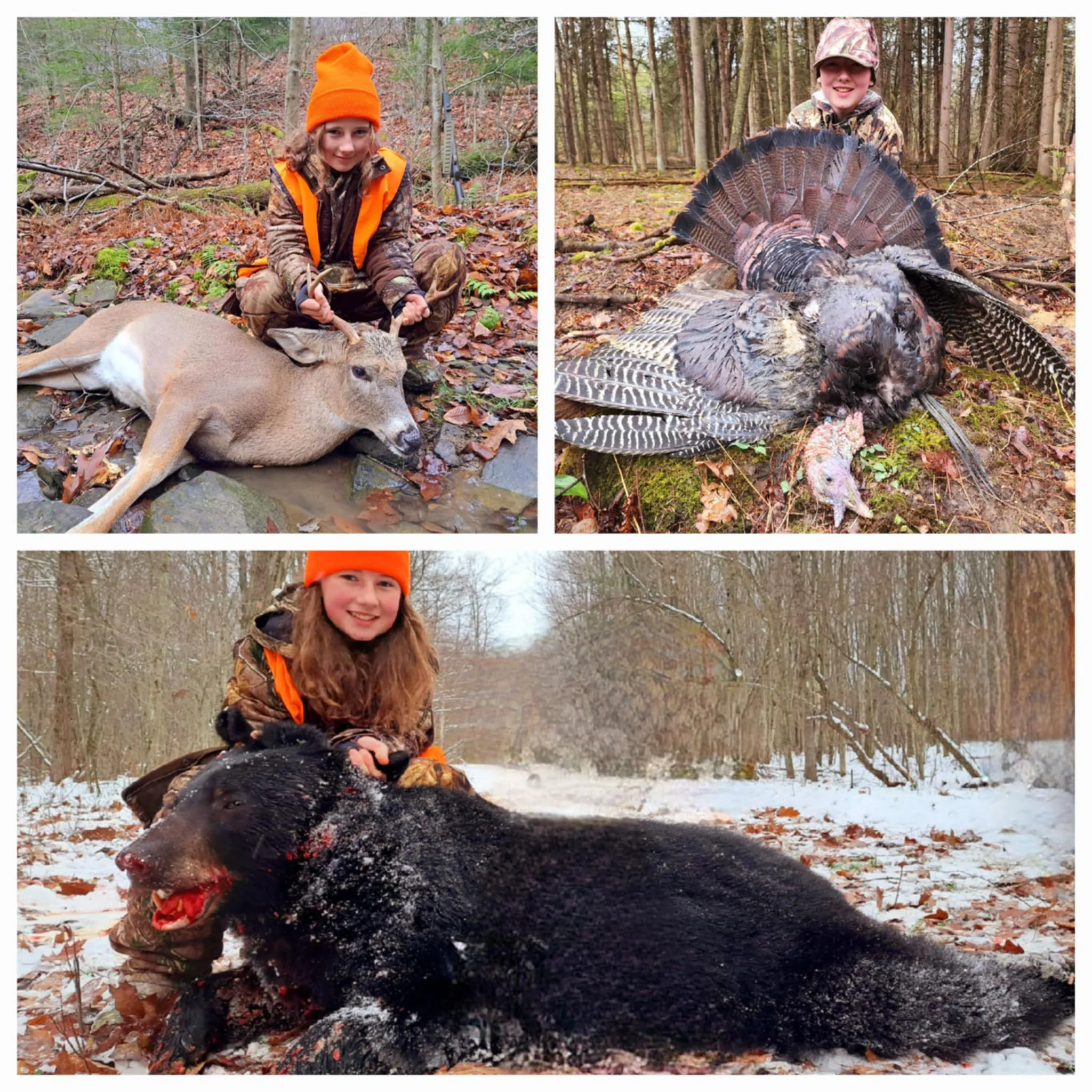 Un collage d'une jeune fille avec un mâle, un gobbler et un ours.