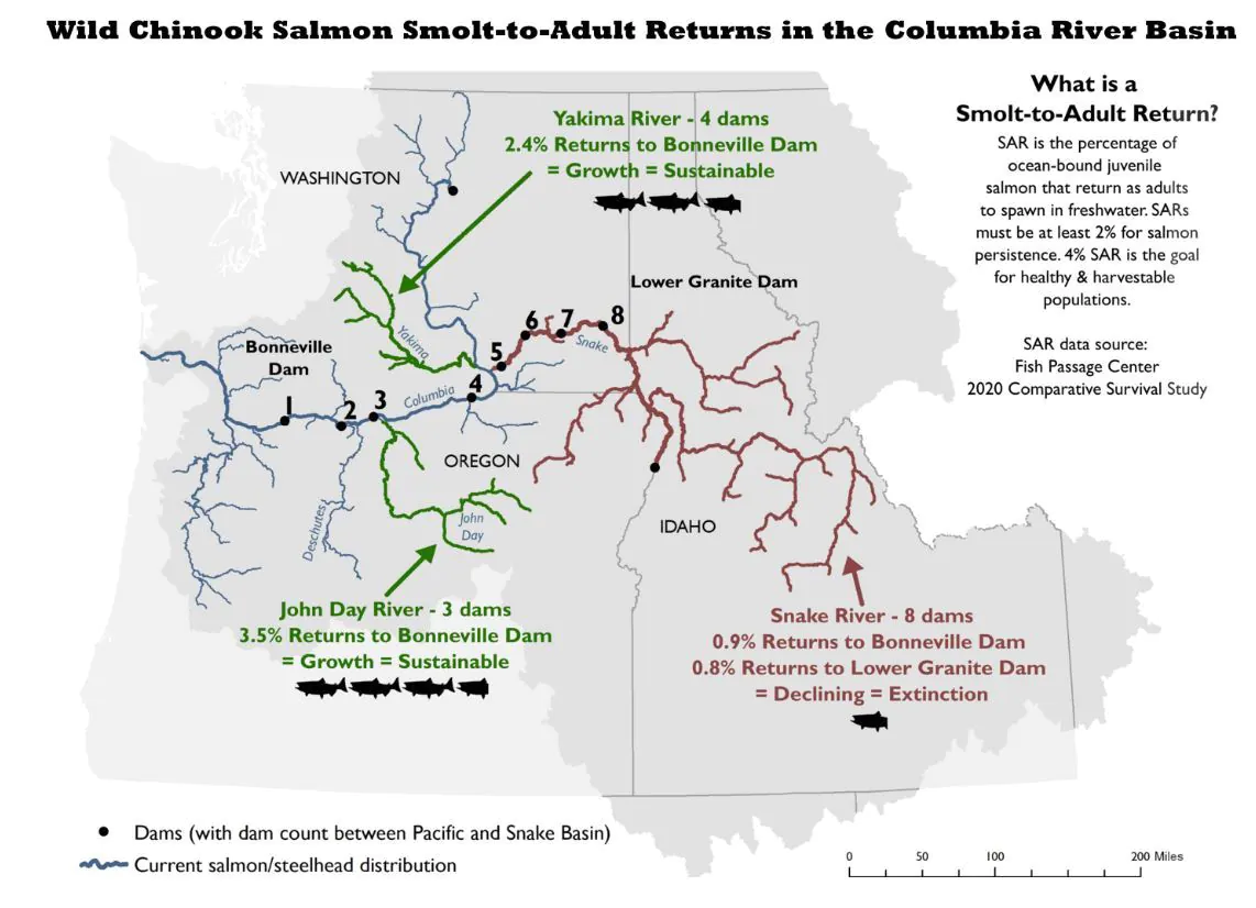 Snake River Dams Carte TU Sar Map