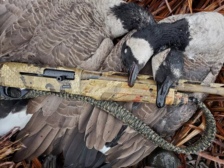   Benelli M2
