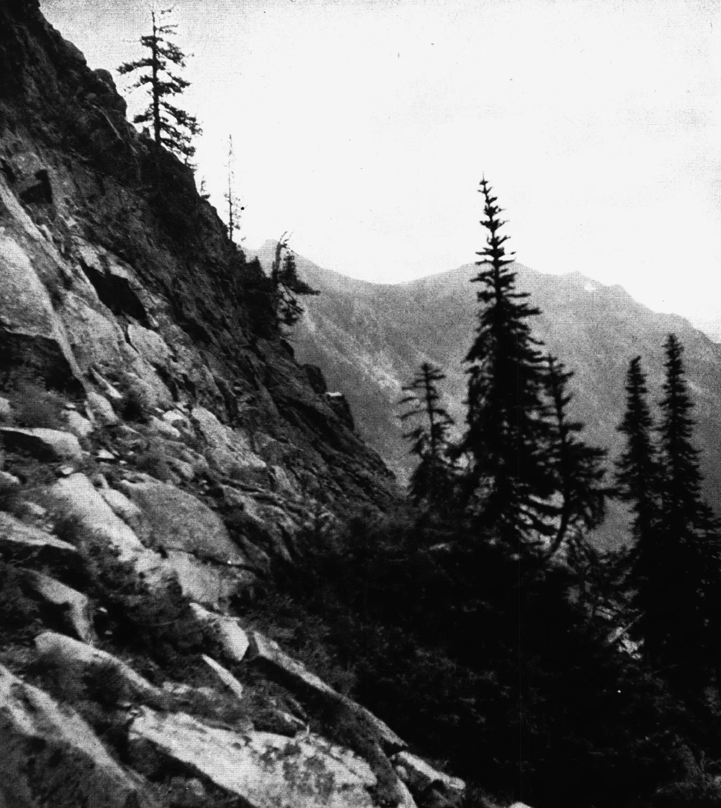 Une photographie en noir et blanc d'une chèvre sur un rebord.