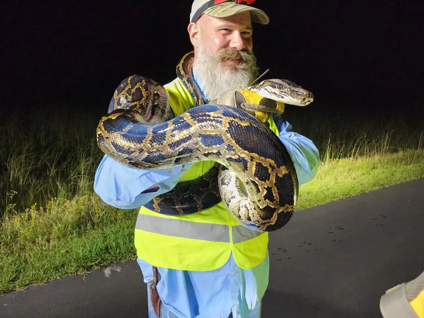 Un homme tient un gros python