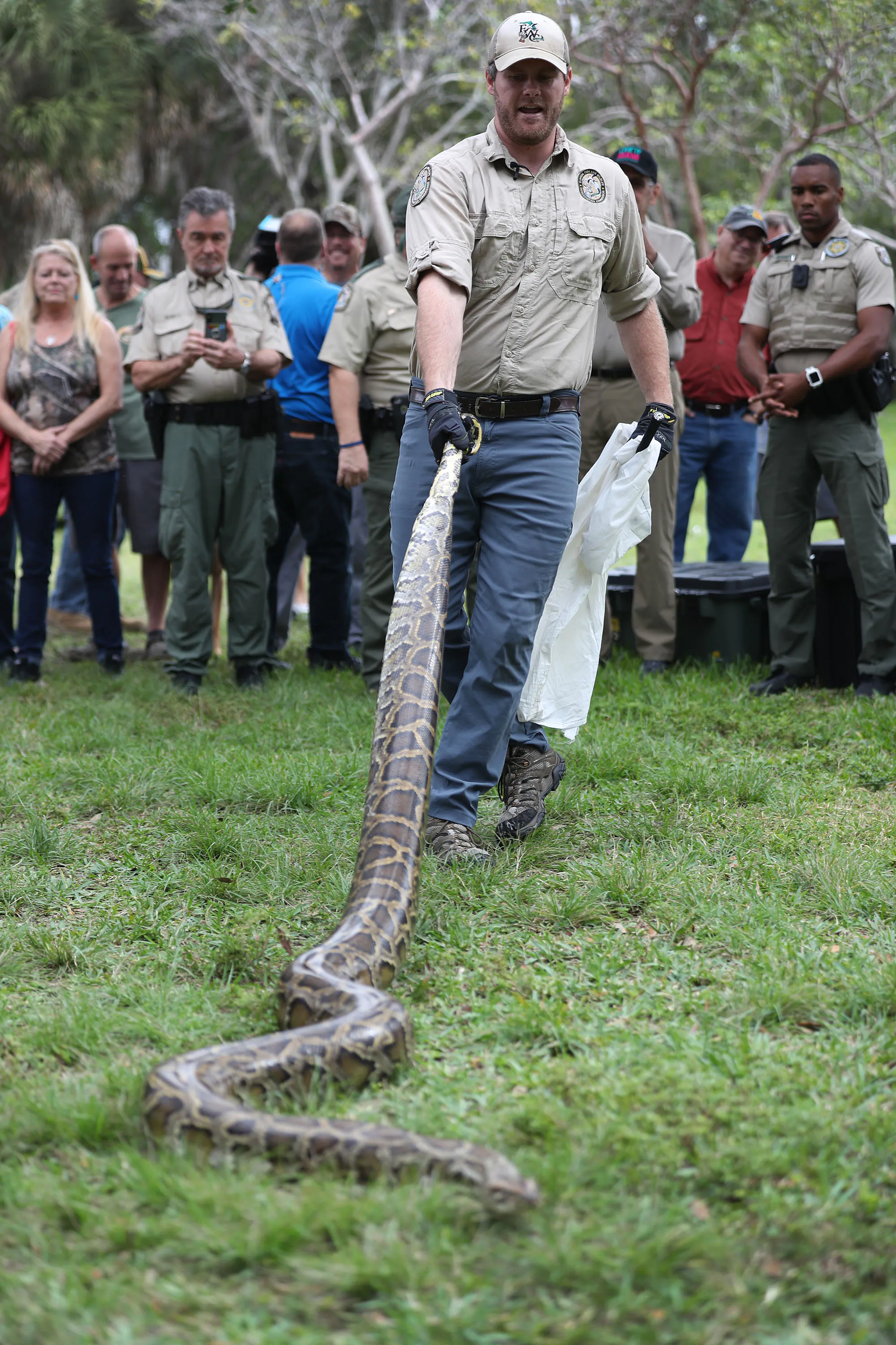 Sunrise, Floride - 10 janvier: Robert Edman, avec la Florida Fish and Wildlife Conservation Commission, présente une démonstration de prise de python devant les chasseurs potentiels de serpents au début du Python Bowl 2020 le 10 janvier 2020 à Sunrise, en Floride. Le Florida Python Challenge 2020 Python Bowl qui a lieu quelques semaines avant que le Super Bowl ne se tiendra dans les jardins de Miami, une compétition de 10 jours pour éliminer les pythons birmanes des Everglades de Floride en raison de la menace pour l'écosystème délicat qu'ils posent car ils n'ont pas de prédateurs et se reproduisent rapidement. (Photo de Joe Raedle / Getty Images)