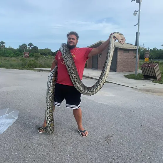 Un passé gagnant du Python Challenge dans la catégorie amateur