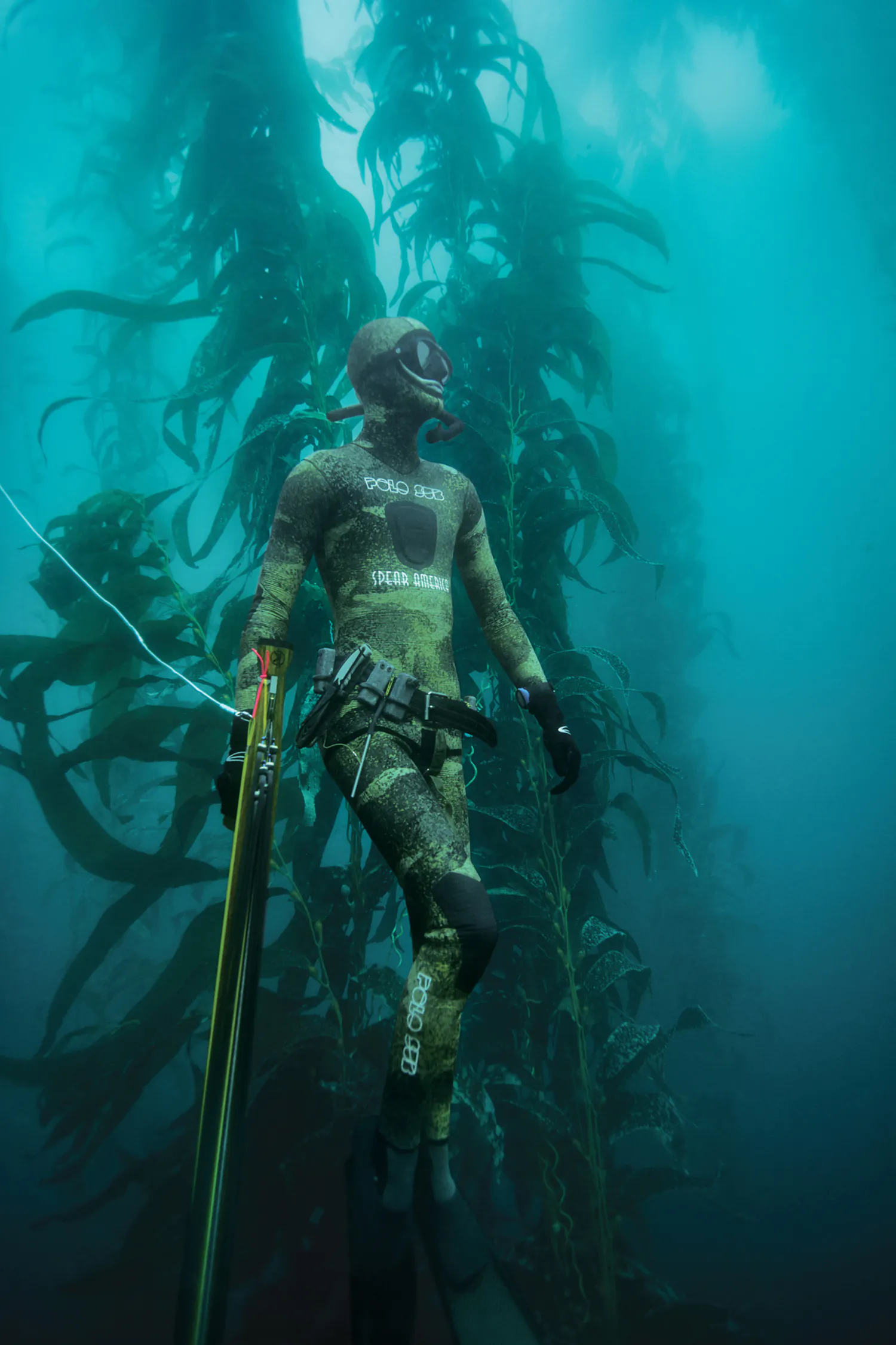 Spearfisherman en combinaison camo se cache à côté du varech sous-marin