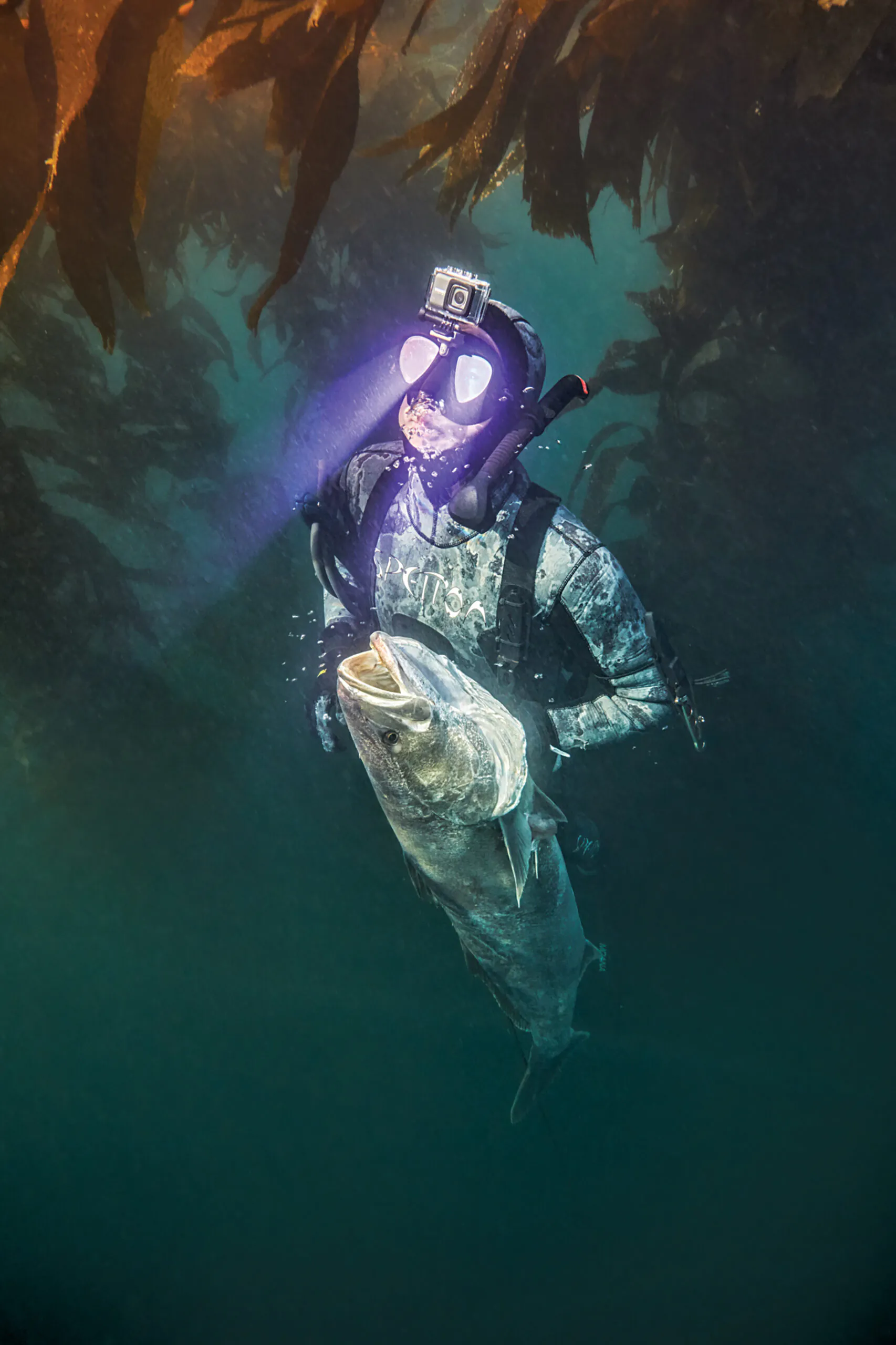 Spearfisherman Refacaçant avec du poisson, alors que le soleil scintille le masque facial