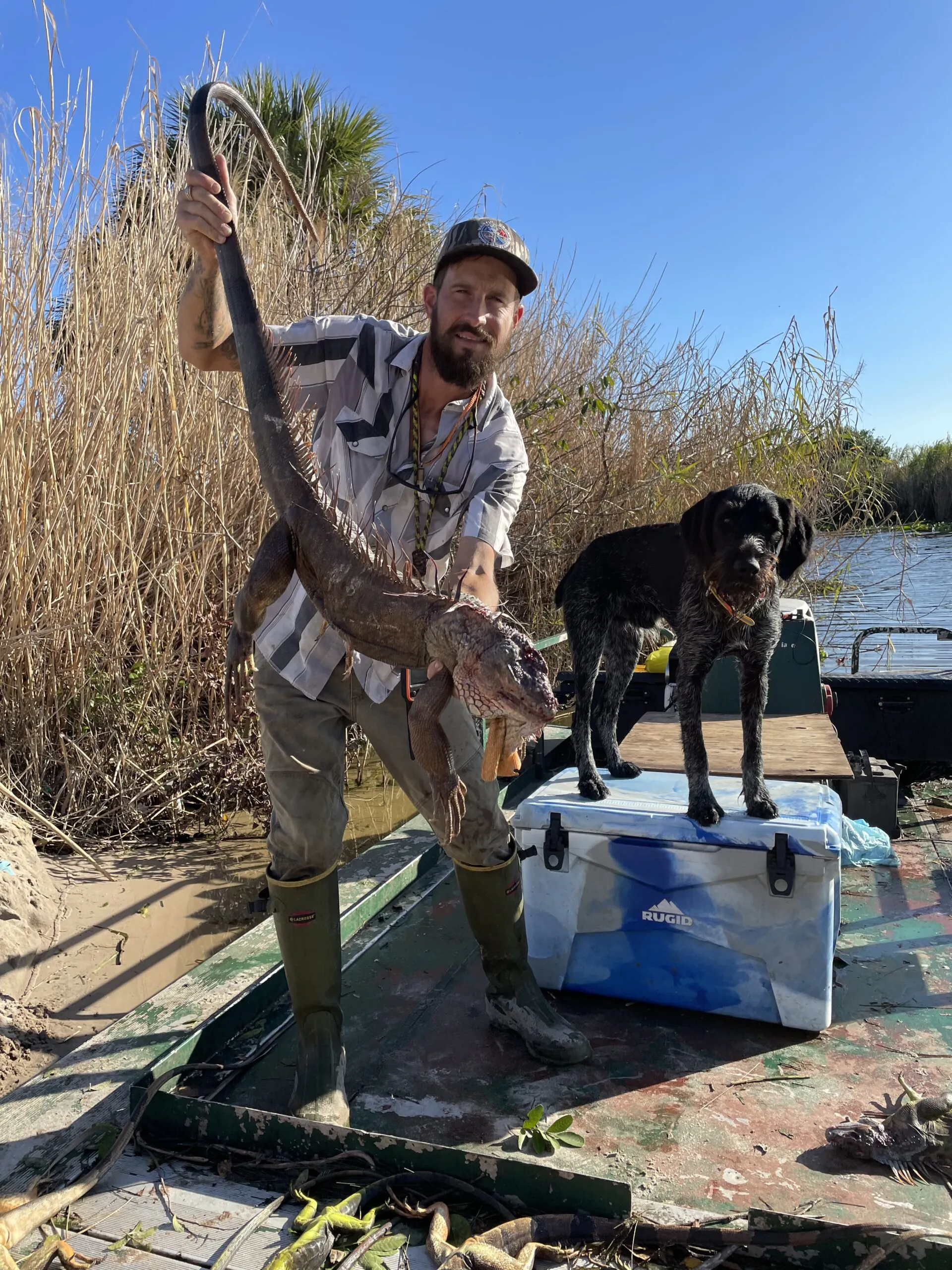 Un chasseur d'iguane et son chien de chasse avec un "gardien" Iguana.