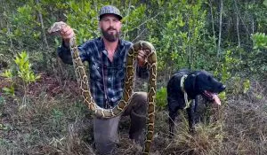 Le chien Python le plus célèbre d'Amérique meurt à mi-chasse. Mais sa lignée vit
