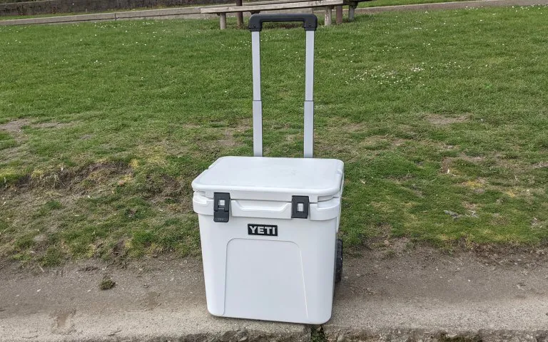   Côtre de Yeti blanc assis sur un rebord avec un champ herbeux en arrière-plan