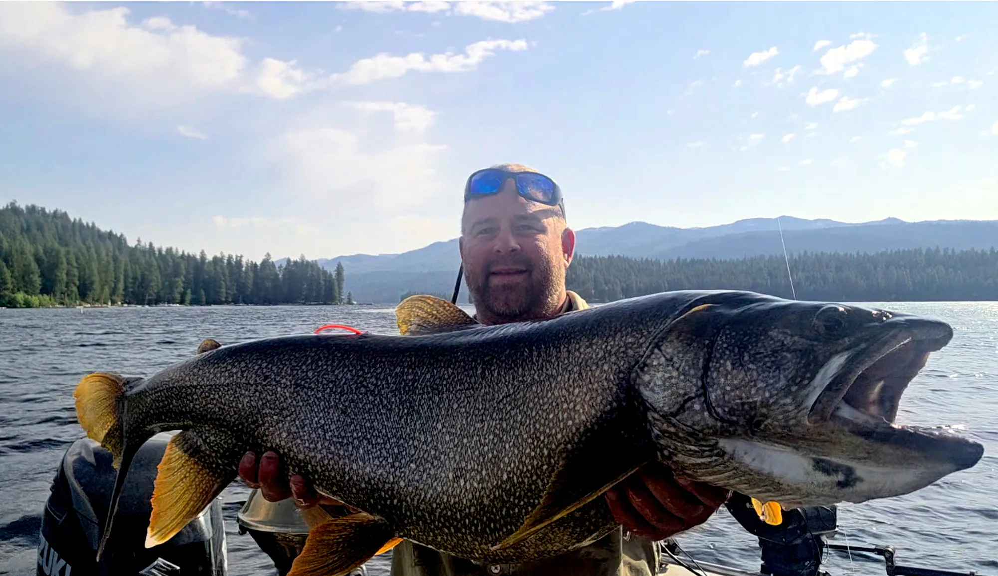 Un pêcheur occupe une grande truite du lac Idaho.