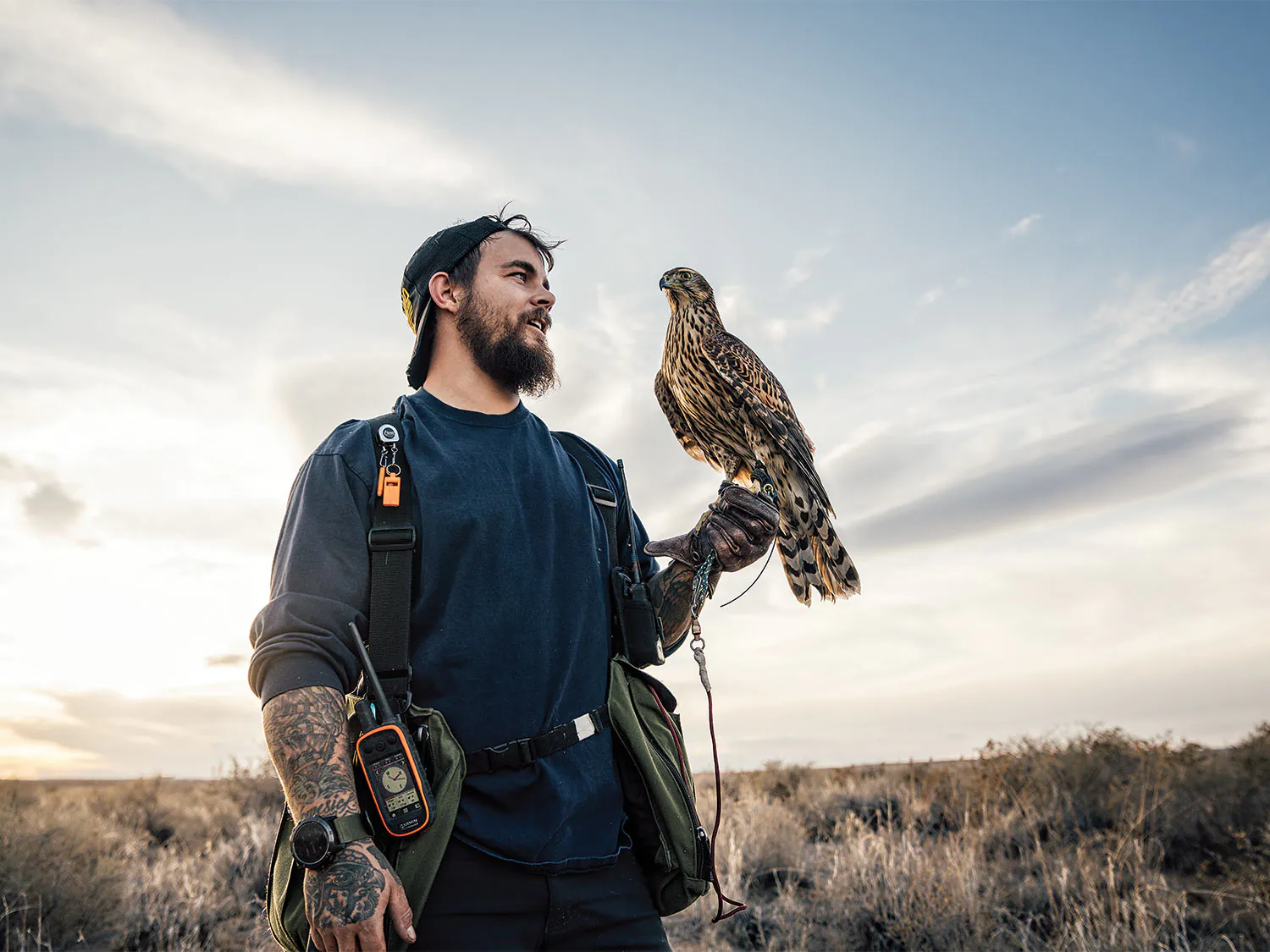 Un homme tient un faucon de chasse sur sa main.