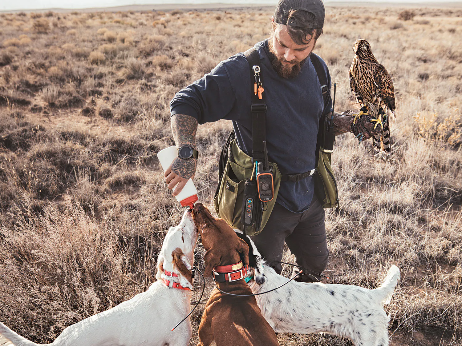 Un chasseur d'eau un groupe de chiens de chasse.