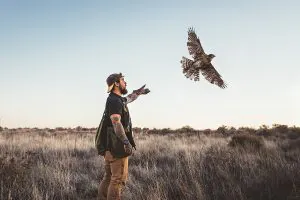 La fauconnerie demande une discipline, une endurance et une meute de chiens d'oiseaux
