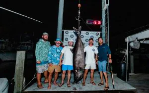 Ce poisson record pris dans le golfe a décollé 2 000 yards de ligne avant que les pêcheurs ne savent qu'il était accroché