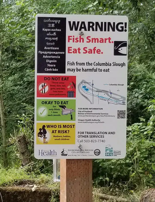 Un signe averti de la consommation de poissons.