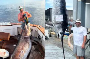 Swordfish qui «ressemblait à un dinosaure» sur le point d'écraser le record de l'État de l'Alabama
