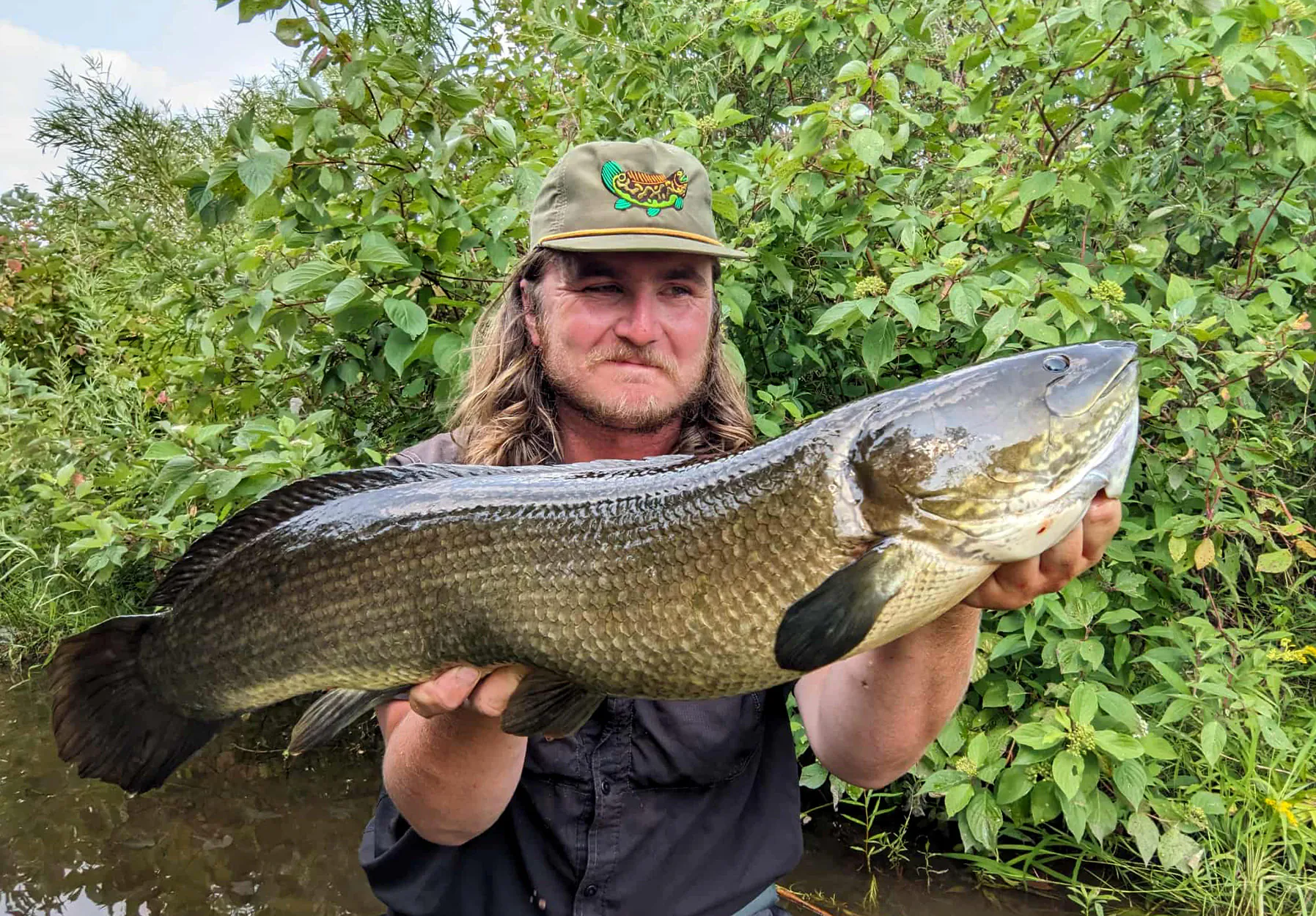 Un pêcheur du Minnesota tient un bowfin.