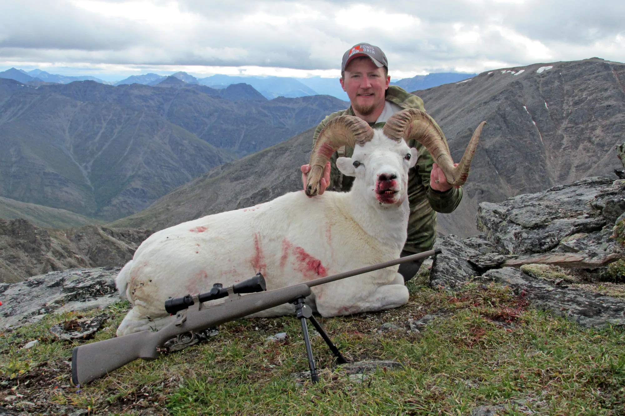 Freel avec Dall Ram et Rifle de mouton personnalisé