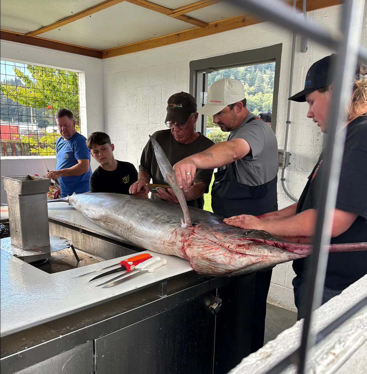 Les pêcheurs se préparent à nettoyer et à filet un gros marlin.