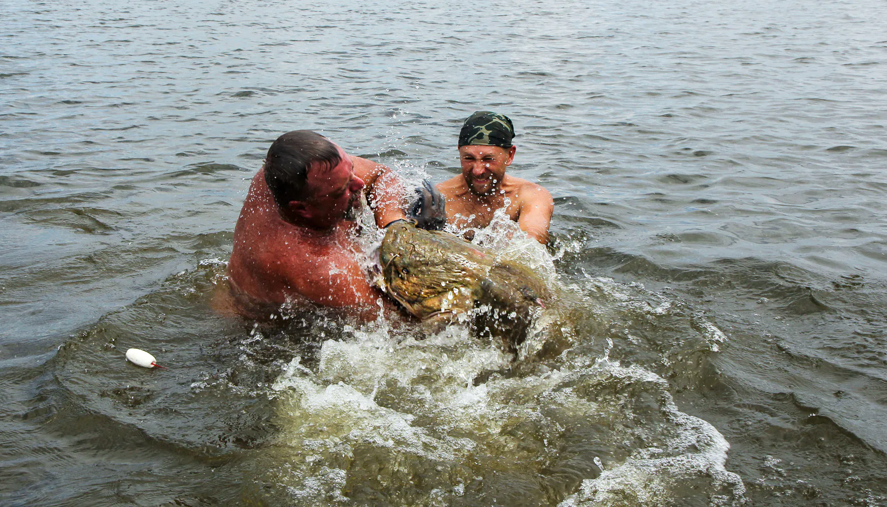 Deux nouins luttent sur un poisson-chat géant à tête plate.