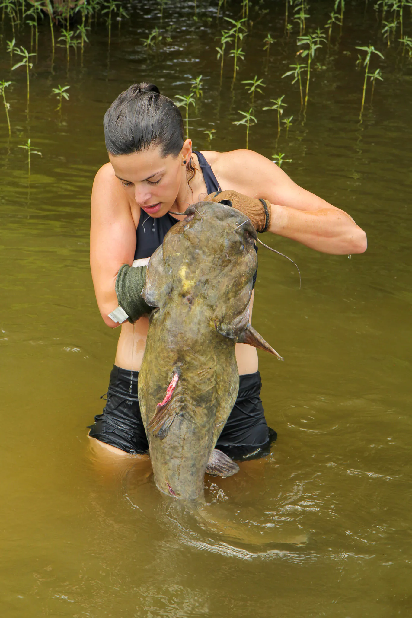 Natalie Krebs tient le poisson-chat à tête plate, elle a ridiculisé dans le Kentucky.