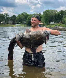 18 Photos sauvages de nouilles de poisson-chat luttent les places géantes
