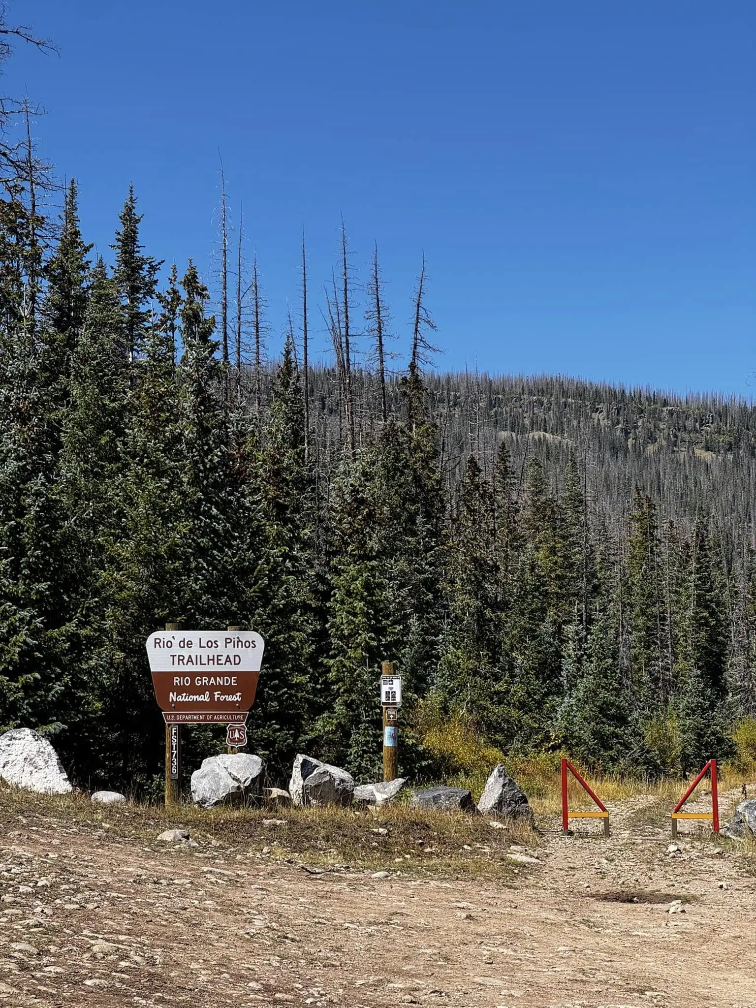 Le début du sentier national de la forêt où les chasseurs de wapiti ont disparu.