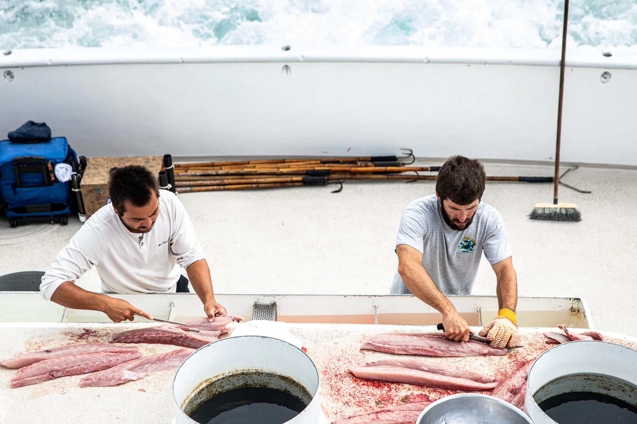Deux poissons à filet de ponthands.